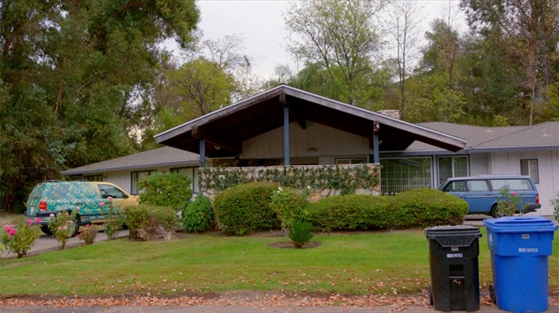 The Bachmanity Incubator